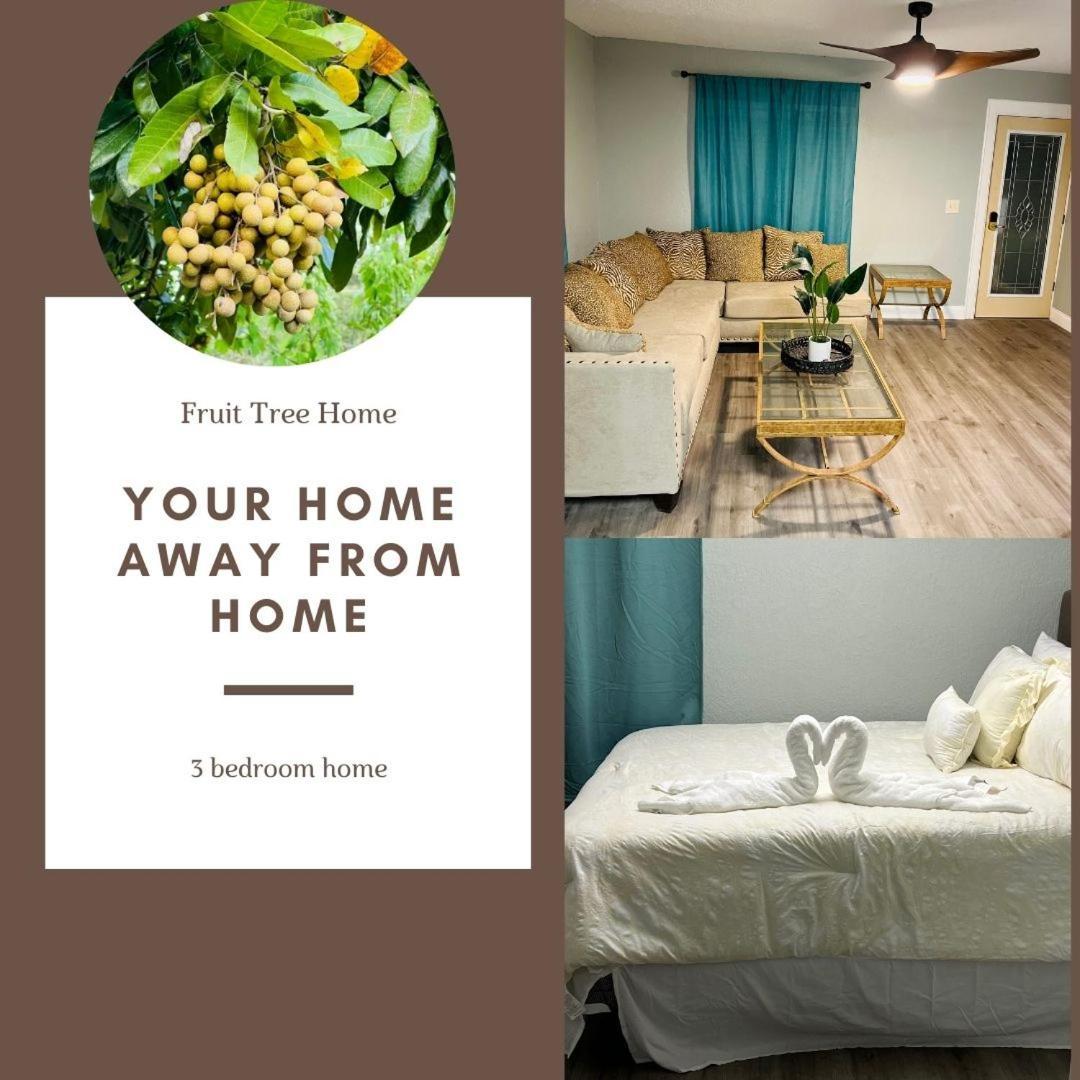 3Bdrm Fruit Tree Home Near Downtown Orlando Kültér fotó